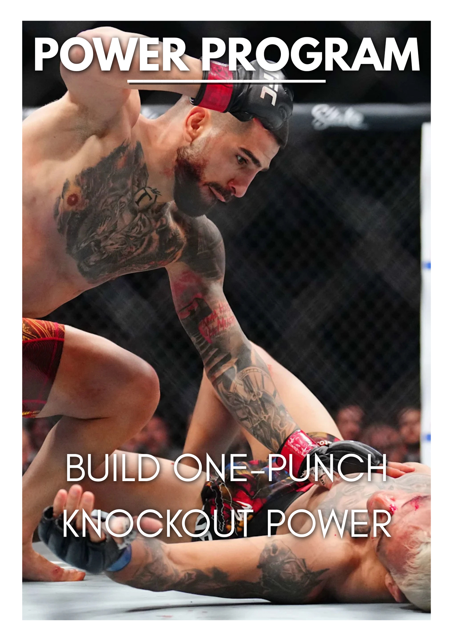 The Power Punching Program
